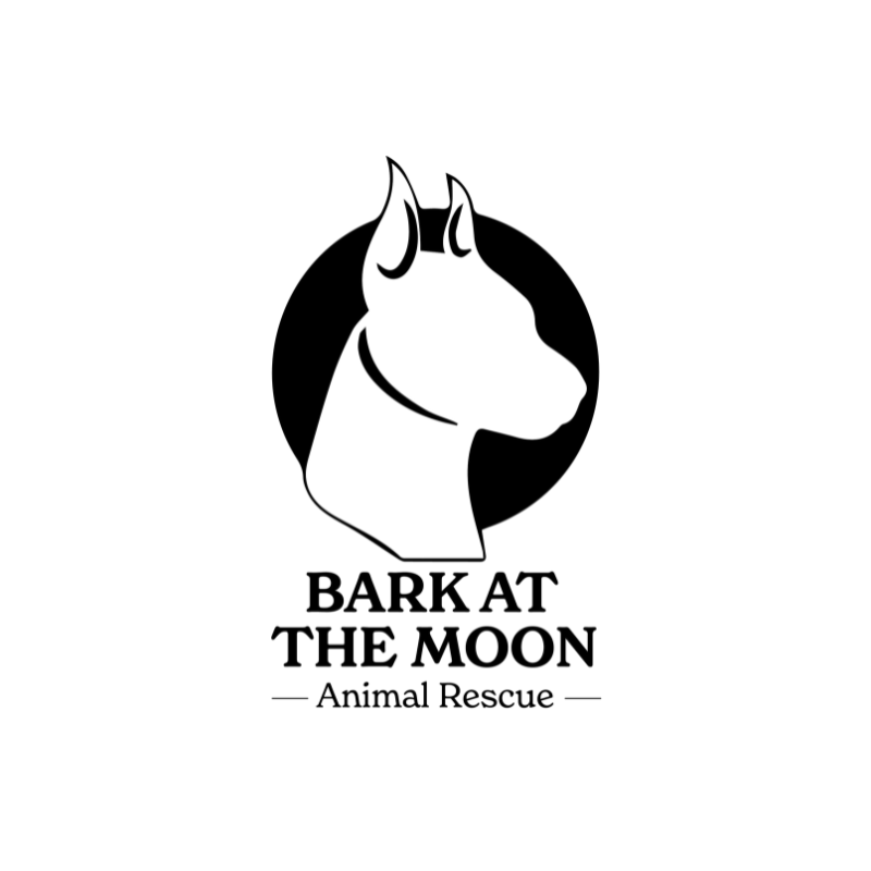 Charity Ride in Support of WDDS & Bark at the Moon